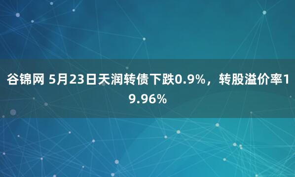谷锦网 5月23日天润转债下跌0.9%，转股溢价率19.96%