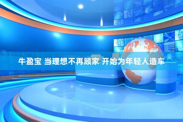 牛盈宝 当理想不再顾家 开始为年轻人造车