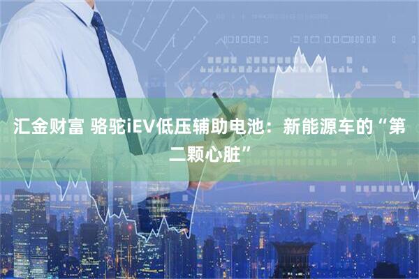汇金财富 骆驼iEV低压辅助电池:新能源车的“第二颗心脏”